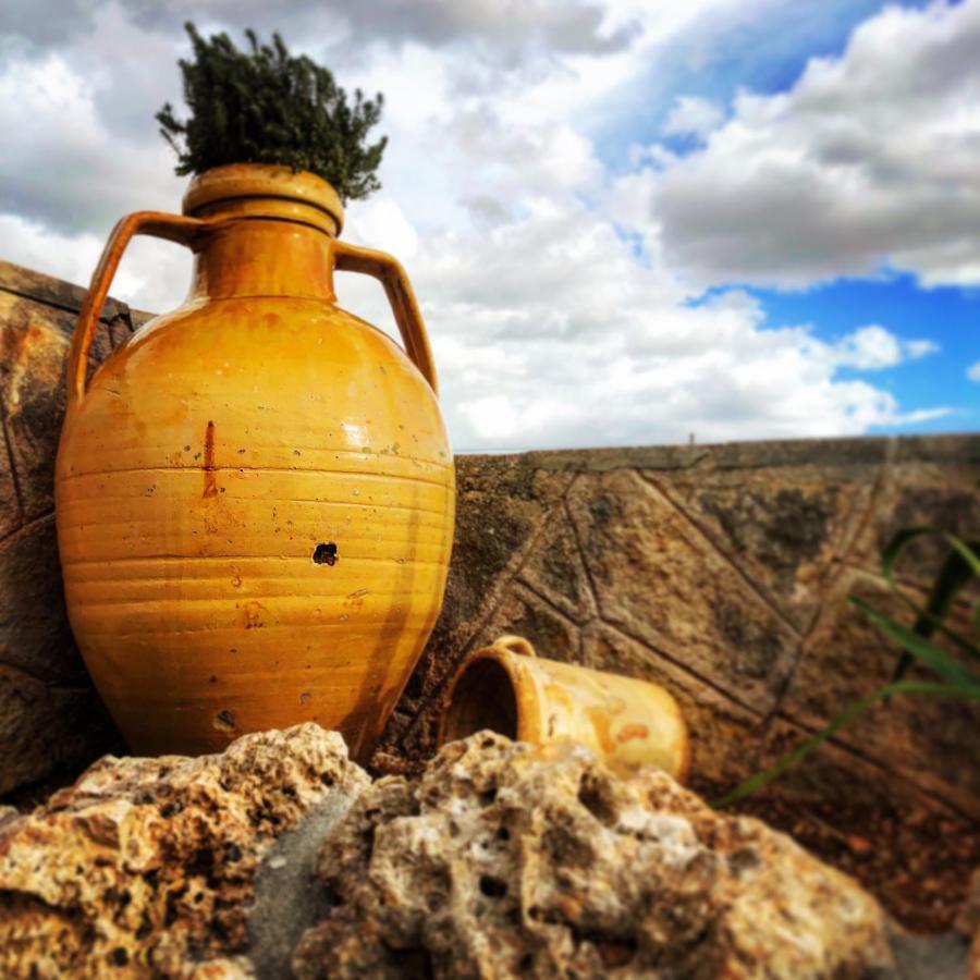 Appartamento A Casa Di Elisa Locorotondo Esterno foto